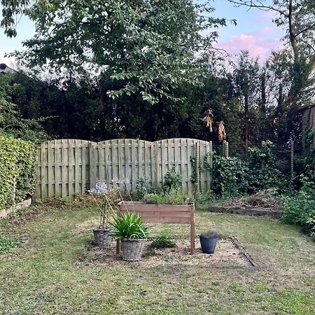 Cozy With Garden Appartamento